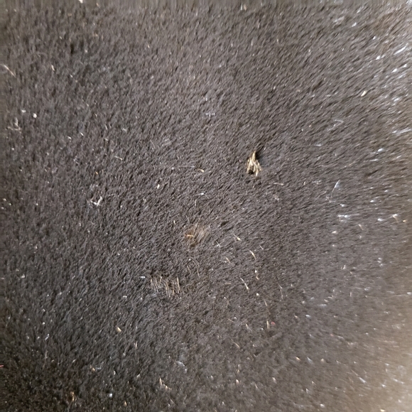 Furrrocious Faux Fur Coat - Picture 9 of 10